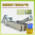 Kohl / Mango Dicing und Waschen Produktionslinie